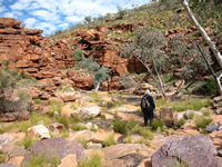 _but the ground gets more uneven